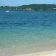 いずみの画像