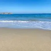 wataの画像
