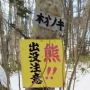 shiroの画像