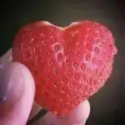 ぴーひゃらの画像