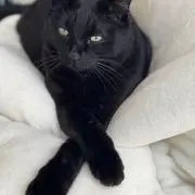 ナッカイー