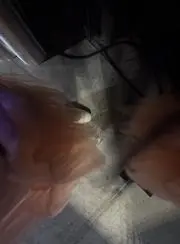 MMKKの画像