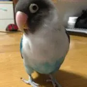 アイス
