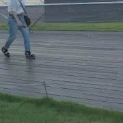 momoの画像