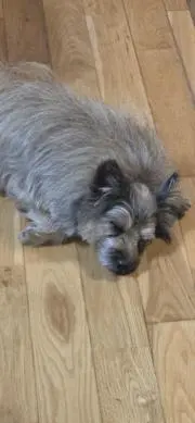 NKKUの画像