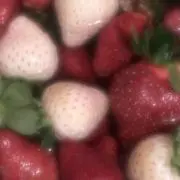 夏♪の画像