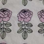 はまパラの画像