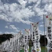 ゆの画像