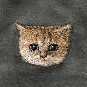 ニャーゴ☆の画像