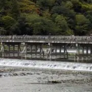 らっしーの画像