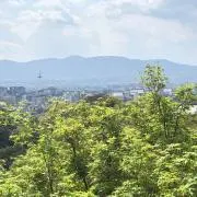ひーママの画像