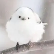 波紋