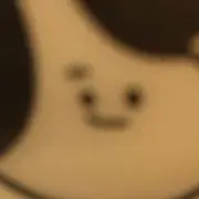 稲葉裕