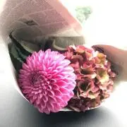 石楠花の画像