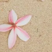ramu