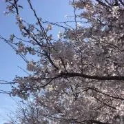 寺子屋也助