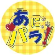 6月限定値下げ中★ペットショップあにパラの画像