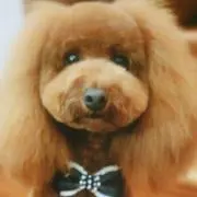 ︎✿らぶ︎✿お値引ご相談ください