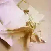 折鶴＊自己紹介文閲覧推奨＊の画像