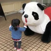 Lowの画像