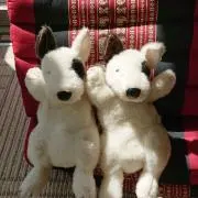 ゆっきぃの画像