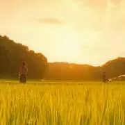 どばし
