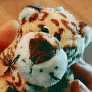 こっぷ