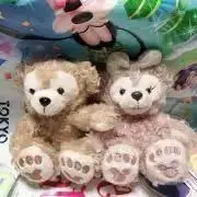 ふわりの画像