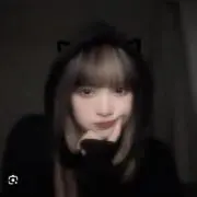 ぽむの画像