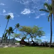 aloha renren