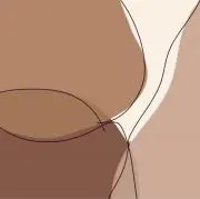 わらびもちの画像