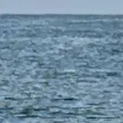 メンの画像