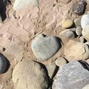 m...