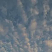 コロコロの画像