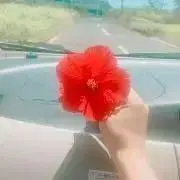 みょんの画像