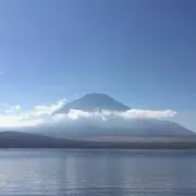 mint2525の画像