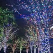 海水◇無言お取り引き◎の画像