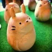 すぬーぷぃの画像