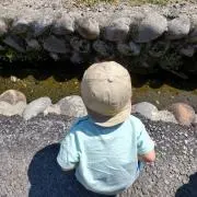T Aの画像