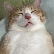 TKTK TKTKの画像