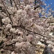 み〜☆の画像