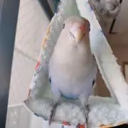 ＊ちゅるり＊