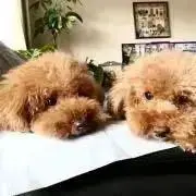 ナイン❤︎の画像
