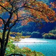 田中の画像
