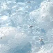 紗 .の画像