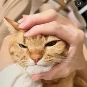 みなみの画像