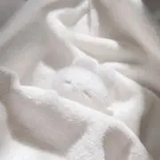ぴたむの画像