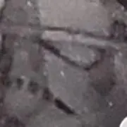 まぱの画像