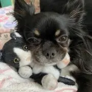 さなの画像