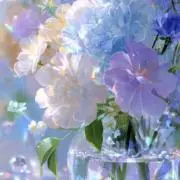 nonの画像